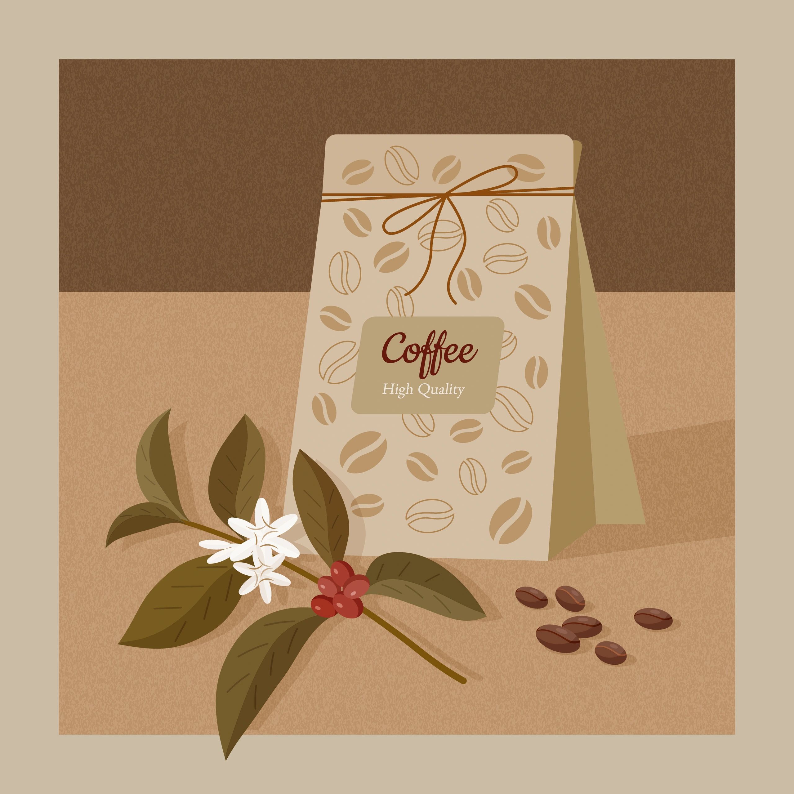 Granos de café y rama de cafeto, ilustración